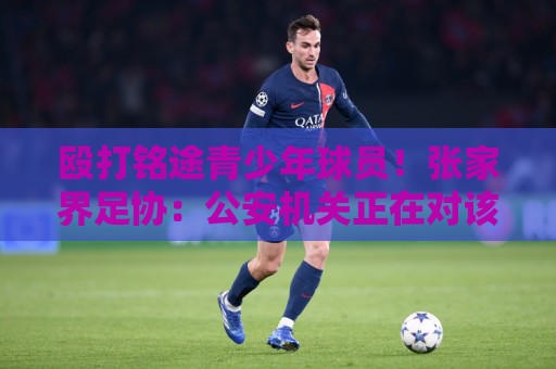 殴打铭途青少年球员！张家界足协：公安机关正在对该事件调查处置