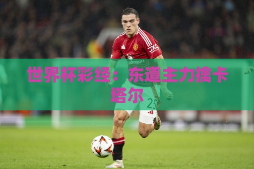 世界杯彩经：东道主力擒卡塔尔