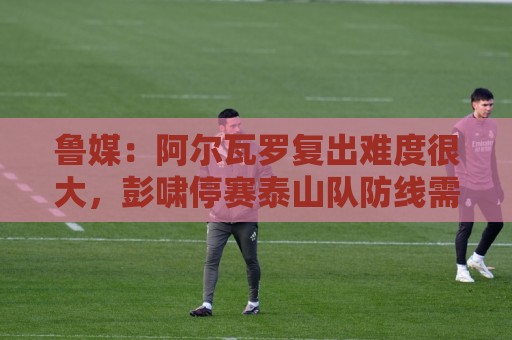 鲁媒：阿尔瓦罗复出难度很大，彭啸停赛泰山队防线需进行调整