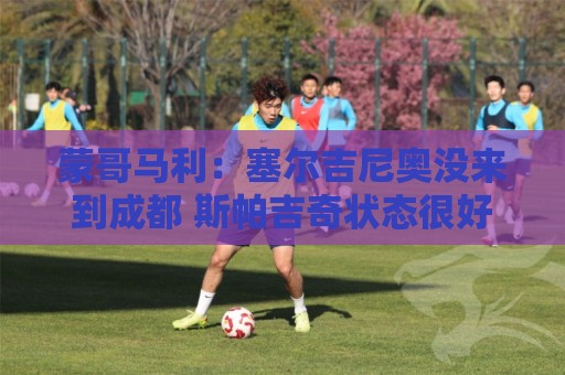 蒙哥马利：塞尔吉尼奥没来到成都 斯帕吉奇状态很好我们信任他