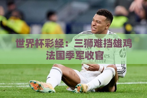 世界杯彩经：三狮难挡雄鸡 法国季军收官