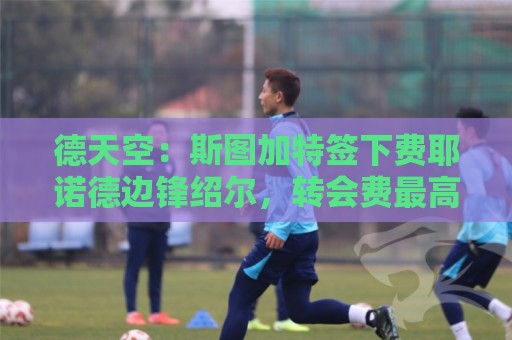 德天空：斯图加特签下费耶诺德边锋绍尔，转会费最高可达1700万欧