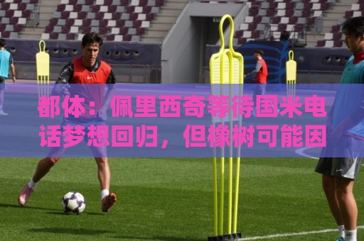 都体：佩里西奇等待国米电话梦想回归，但橡树可能因年龄原因否决