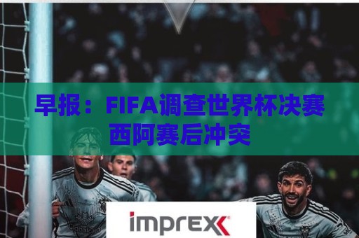 早报：FIFA调查世界杯决赛西阿赛后冲突