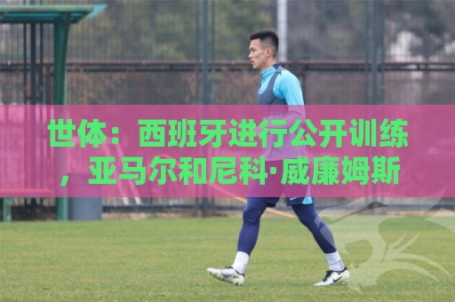 世体:西班牙进行公开训练,亚马尔和尼科·威廉姆斯参加部分合练 世体:西班牙进行公开训练,亚马尔和尼科·威廉姆斯参加部分合练