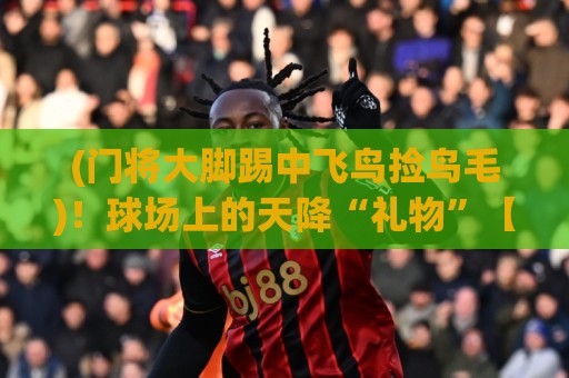 (门将大脚踢中飞鸟捡鸟毛)!球场上的天降“礼物”【门将大脚踢中飞鸟捡鸟毛】 (门将大脚踢中飞鸟捡鸟毛)!球场上的天降“礼物”【门将大脚踢中飞鸟捡鸟毛】